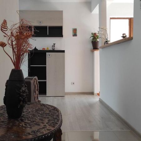 Apartament Trei Stejari Apartment Sibiu Bagian luar foto