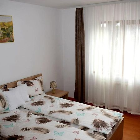 Apartament Trei Stejari Apartment Sibiu Bagian luar foto